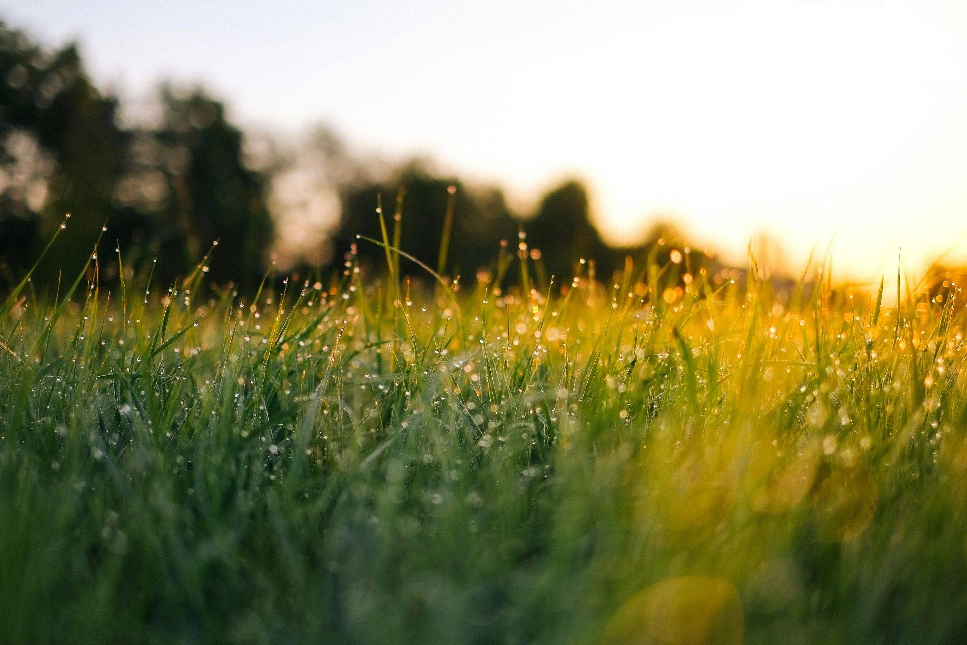 Quelle: Jonas Weckschmied / Unsplash